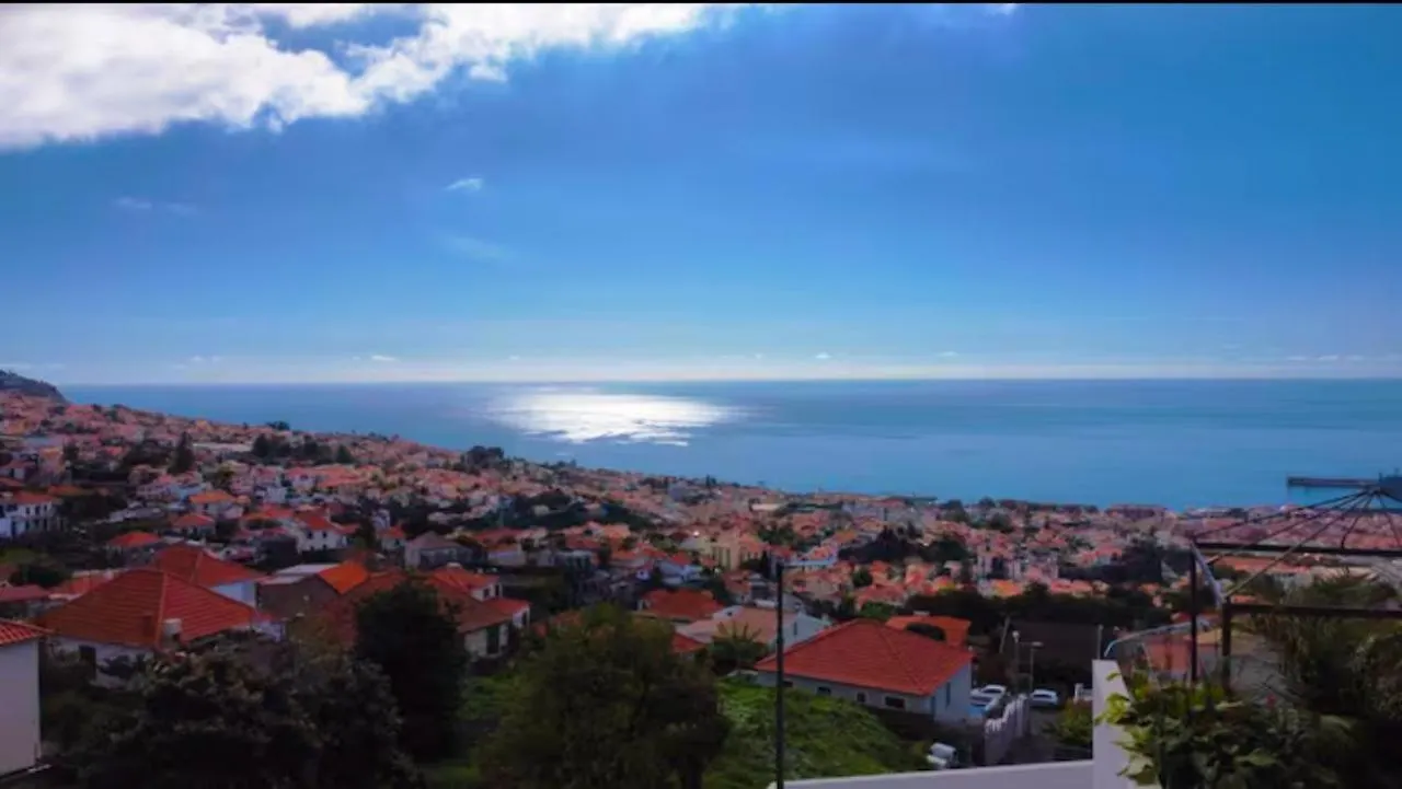 Villa Paradise Palms Funchal  0*, Funchal (Madeira)